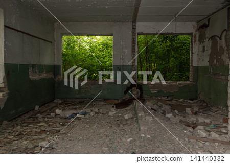 Abandoned Room with Overgrown Windows Abandoned Room with Overgrown Windows 141440382