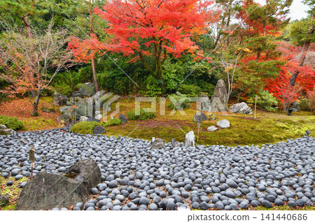 Kyoto, Hogon-in Temple, Shishiku Garden, beautiful autumn foliage (Ukyo-ku, Kyoto City, Kyoto Prefecture) Kyoto, Hogon-in Temple, Shishiku Garden, beautiful autumn foliage (Ukyo-ku, Kyoto City, Kyoto Prefecture) 141440686