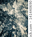 Autumn background. Yellow leaves of trees against a blue sky. View from below. 141440690