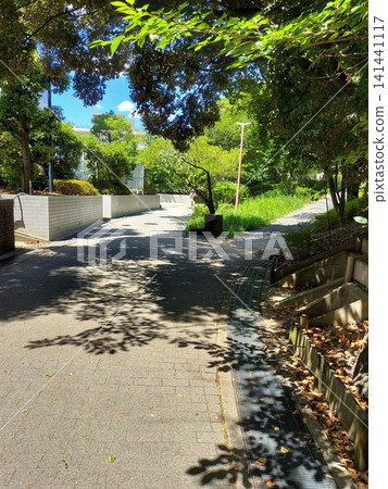 公園步道沐浴在透過樹蔭灑下的夏日陽光中 / 短暫的休憩，遠離斑駁的陽光 / 陰涼處 141441117