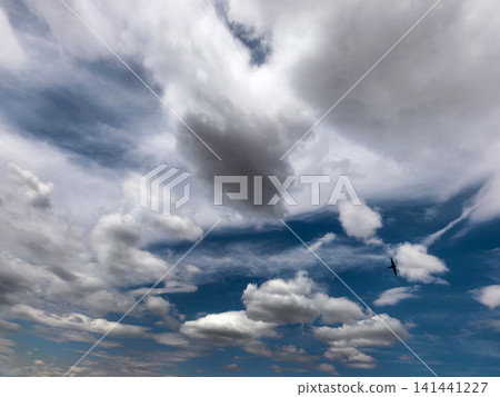 Dramatic Storm Clouds Over Blue Summer Sky with Flying Bird 141441227