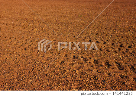 Closeup of a plowed agricultural field with parallel tire tracks from farming machinery. Soil texture in sunset light. Closeup of a plowed agricultural field with parallel tire tracks from farming machinery. Soil texture in sunset light. 141441285