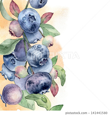 Blueberry twig on watercolor splash border with copy space isolated. Fresh ripe berries with leaf and dew drop hand drawn. Summer bright art with blue fruits. Design for packaging or menu decoration. 141441580