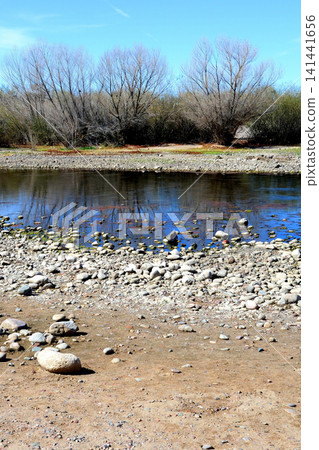 Salt River Recreation Area Arizona Salt River Recreation Area Arizona 141441656