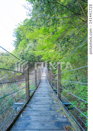 Suspension bridge in the mountains Suspension bridge in the mountains 141441728