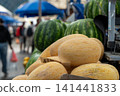 Ripe and juicy melons lie on the counter in the market or bazaar. Sale of ripe and fresh vegetables and fruits at the farmers' market. Close-up. 141441833