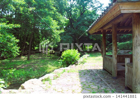 磯川綠園 磯川綠園 141441881