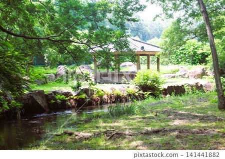 磯川綠園 磯川綠園 141441882