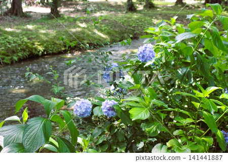 Isokawa Green Park Isokawa Green Park 141441887
