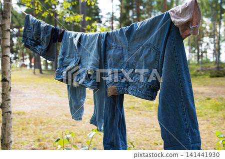 A row of blue denim jeans and skirt hang on a clothesline stretched between trees, while air drying in a serene forest in Finland. A row of blue denim jeans and skirt hang on a clothesline stretched between trees, while air drying in a serene forest in Finland. 141441930