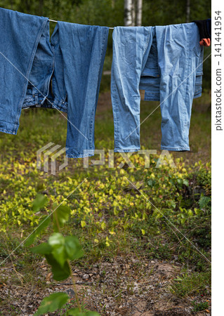 Two blue denim jeans hang on a clothesline stretched between trees, while air drying in a serene forest in Finland. Two blue denim jeans hang on a clothesline stretched between trees, while air drying in a serene forest in Finland. 141441954