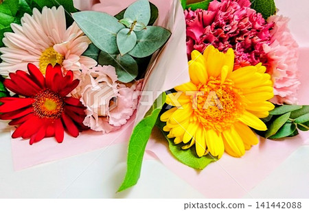 五顏六色的非洲菊花束 五顏六色的非洲菊花束 141442088