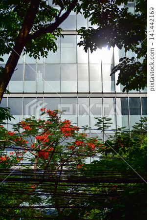 The view of the flowers and grass in the corner in the city. Greenery in the city. Flowers and plants in the city and street. Cityscape and plants. Flower and plant concept. 141442169
