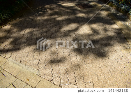 The shadow of the tree on the ground. Nature scene. Background use. The shadow of the tree on the ground. Nature scene. Background use. 141442188
