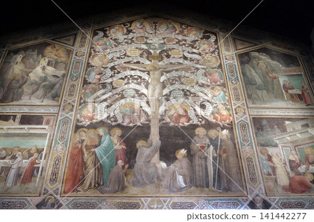 Crucifixion represented as Tree of Life, fresco, Taddeo Gaddi (1290-1366), ex refectory, Basilica di Santa Croce (Basilica of the Holy Cross) in Florence, Italy Crucifixion represented as Tree of Life, fresco, Taddeo Gaddi (1290-1366), ex refectory, Basilica di Santa Croce (Basilica of the Holy Cross) in Florence, Italy 141442277