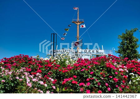 Hikawa Maru and Rose Garden 141442367