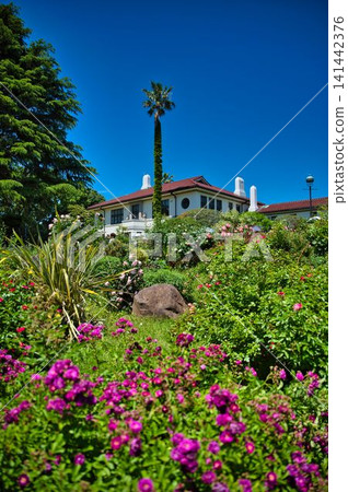 Western-style house, palm trees, and roses Western-style house, palm trees, and roses 141442376