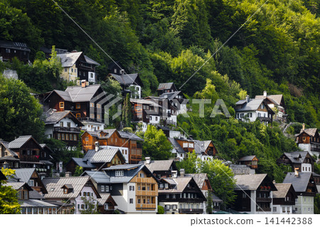 Classic alpine houses on a hillside in Hallstatt village, illustrating European small town charm with a classic summer atmosphere. 141442388