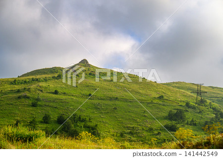 Lush green hill with scattered shrubs and one utility pole Lush green hill with scattered shrubs and one utility pole 141442549