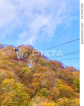 A ropeway to the Akechidaira Observatory during the autumn foliage season. A ropeway to the Akechidaira Observatory during the autumn foliage season. 141442599