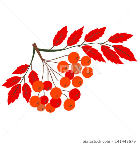 Simple icon, sign. Vector illustration 141442679
