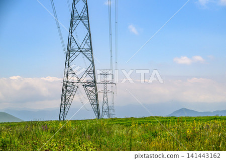Power transmission tower rises above field with yellow wildflowers Power transmission tower rises above field with yellow wildflowers 141443162
