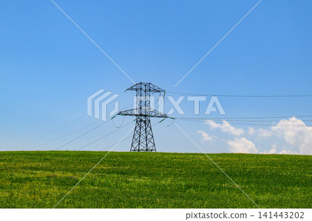 Utility tower rises above flowering meadow beneath bright sunny sky Utility tower rises above flowering meadow beneath bright sunny sky 141443202