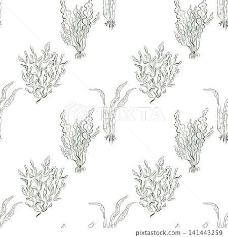 Seamless vector pattern with hand-drawn seaweed and kelp in green line art 141443259