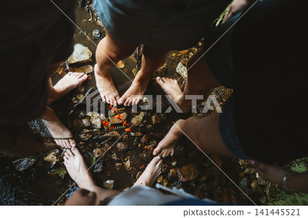 Barefoot Adventure in a Small Mountain Stream Barefoot Adventure in a Small Mountain Stream 141445521
