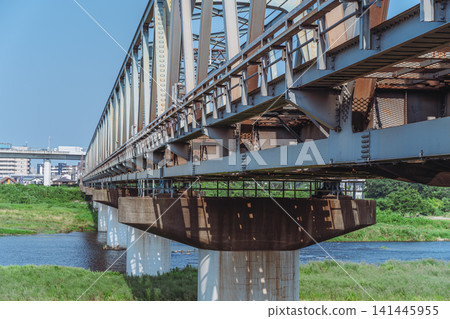 夏日相模川大橋（小田急小田原線） 141445955