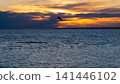 Lone seagull flying over calm sea against dramatic golden sunset sky. Beautiful dark clouds framing setting sun. Freedom and loneliness concept. Natural background for your designs. 141446102