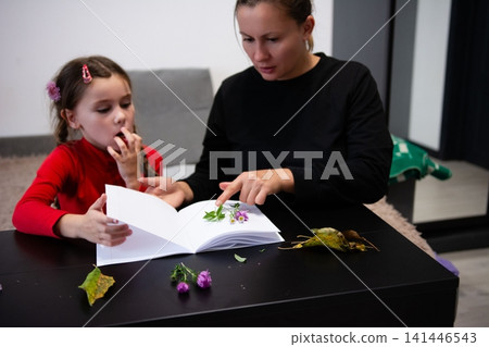 A woman shows a child pressed flowers in a book. Learning about nature, sharing knowledge, family time. Capturing botanical beauty together. A woman shows a child pressed flowers in a book. Learning about nature, sharing knowledge, family time. Capturing botanical beauty together. 141446543