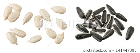 peeled sunflower seeds isolated on white background. Top view. Flat lay peeled sunflower seeds isolated on white background. Top view. Flat lay 141447393