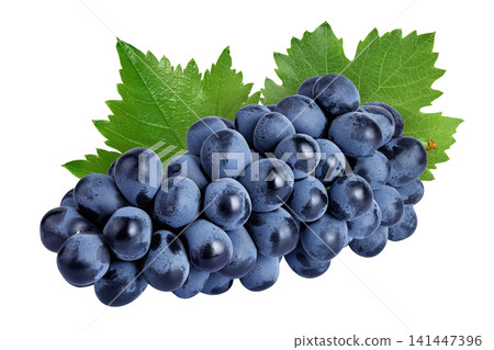 dark blue grape berry bunch isolated on white background dark blue grape berry bunch isolated on white background 141447396