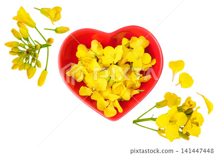 Rapeseed flowers in ceramic bowl isolated on white background, Top view. Flat lay 141447448