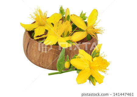 saint john's wort or Hypericum flowers in wooden bowl isolated on white background saint john's wort or Hypericum flowers in wooden bowl isolated on white background 141447461