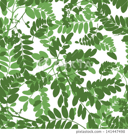 Acacia tree branches and leaves seamless pattern Hand drawn. Not AI, vector illustration. Acacia tree branches and leaves seamless pattern Hand drawn. Not AI, vector illustration. 141447498