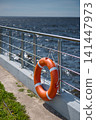 An orange-colored lifebuoy hangs on the embankment fence in sunny weather, finland gulf, with the sea in the background. 141447973