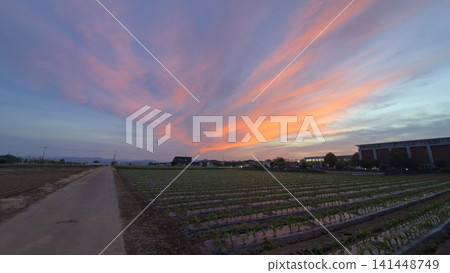 緋紅的夕陽雲 141448749