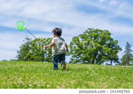 The back view of a boy running across a grassland with a butterfly net in his hand. The back view of a boy running across a grassland with a butterfly net in his hand. 141448760