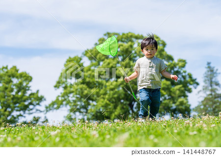 A boy runs across a grassy field under a blue sky, carrying a butterfly net. 141448767