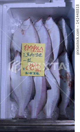 flounder 141448818