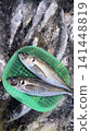 Fish shop scene: Horse mackerel pickled in ice 141448819
