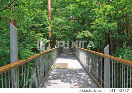 阿爾卑斯山國家阿爾卑斯山阿茲米諾公園空中步道 阿爾卑斯山國家阿爾卑斯山阿茲米諾公園空中步道 141448827