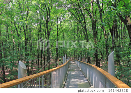 阿爾卑斯山國家阿爾卑斯山阿茲米諾公園空中步道 阿爾卑斯山國家阿爾卑斯山阿茲米諾公園空中步道 141448828