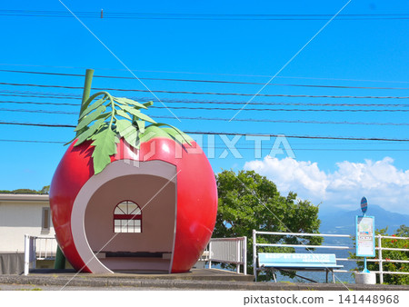 Summer Nagasaki sightseeing fruit bus stop Summer Nagasaki sightseeing fruit bus stop 141448968