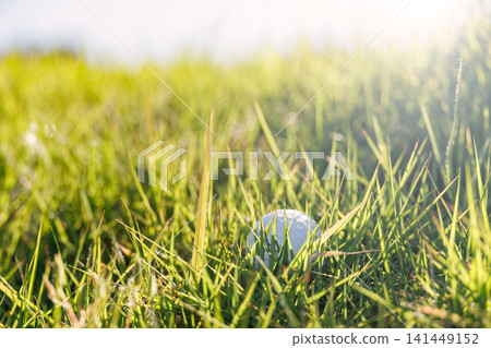 A golf ball in the rough and beautiful sunlight filtering through the trees A golf ball in the rough and beautiful sunlight filtering through the trees 141449152