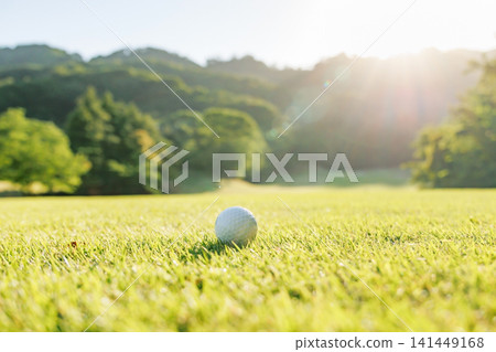 Golf balls on the fairway shining in the backlight Golf balls on the fairway shining in the backlight 141449168