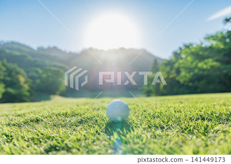 Golf balls on the fairway shining in the backlight 141449173