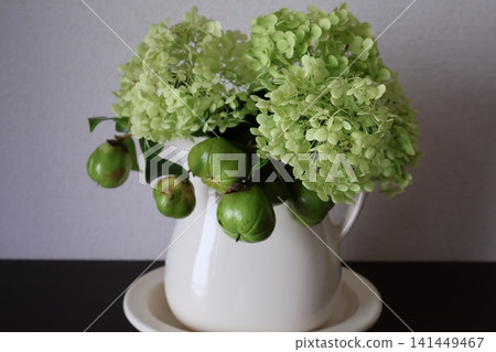 Arranging Annabelle hydrangeas and camellia seeds. Arranging Annabelle hydrangeas and camellia seeds. 141449467